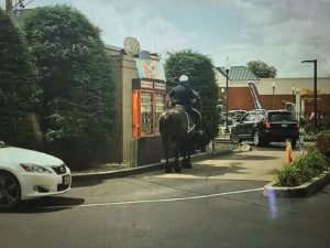 Horses in Drive-Thrus