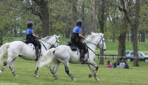 Bomb-Proofing Tips from Mounted Police Officers