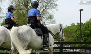 Better Community Policing through Horses