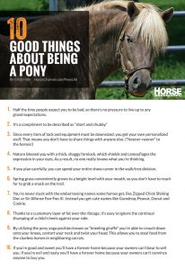 The World According to Ponies