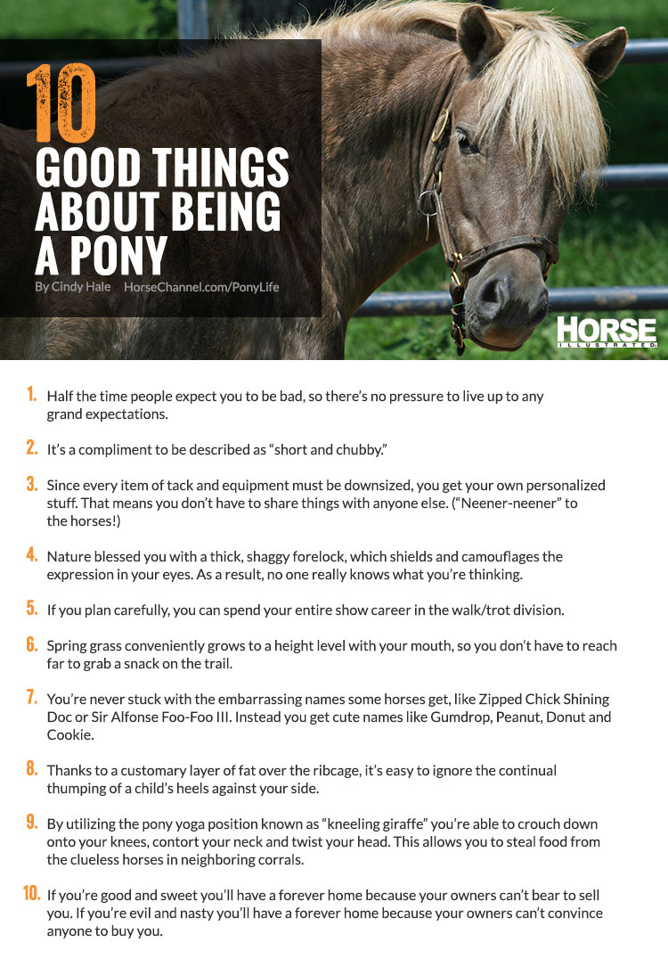 The World According to Ponies