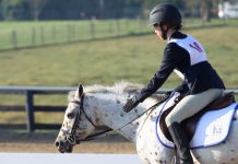 U.S. Pony Club Festival kicks off on July 18 Pony of the Americas