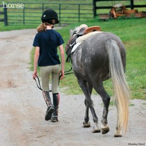 Vet Adventures: It’s Called a Pre-Purchase Exam for a Reason