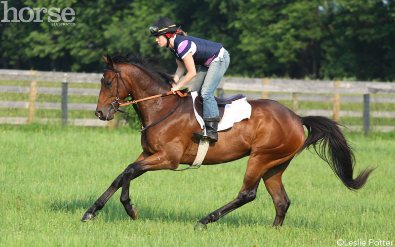 Heat-Related Equine Health Problems