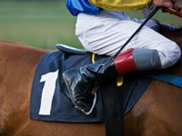 Retired Racehorses Get Some Financial Help racing horse