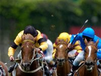 The Thoroughbred racing industry is in decline due to an aging fanbase, competition from other forms of gambling, and increased concern about horse welfare, among other issues.