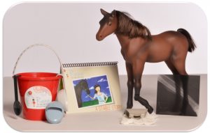 Raina to the Rescue Aims to Teach Girls Leadership Skills