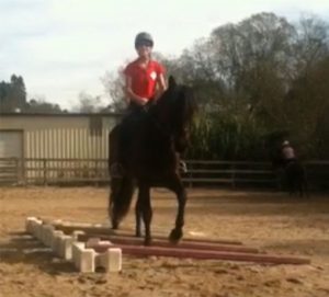 Try This: Riding Over Raised Poles