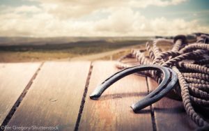 Vet Adventures: The Unlucky Ranch