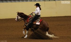 Are You Ready for a More Challenging Horse?