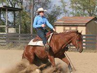 Take a reining horse for a test drive at upcoming equine events reining schooling