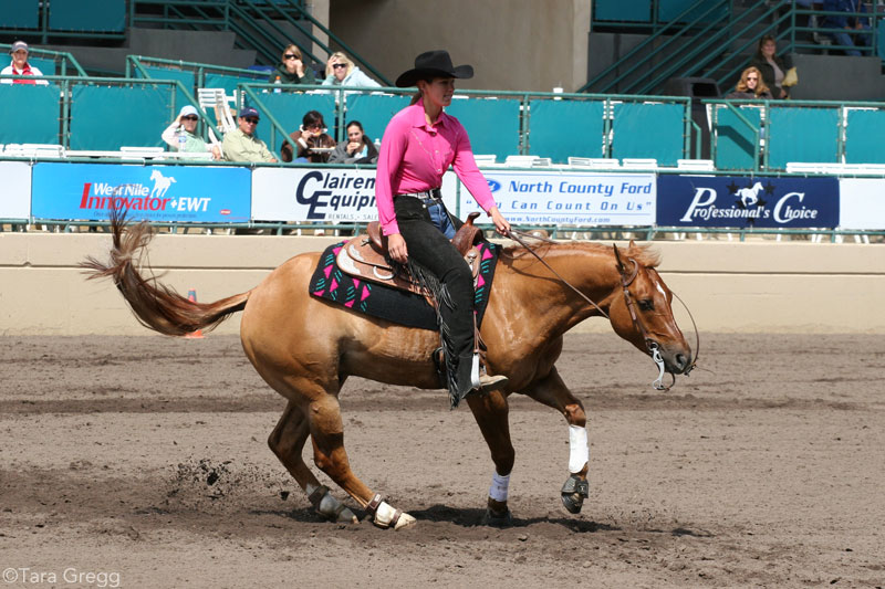 Reining horse performing a spin