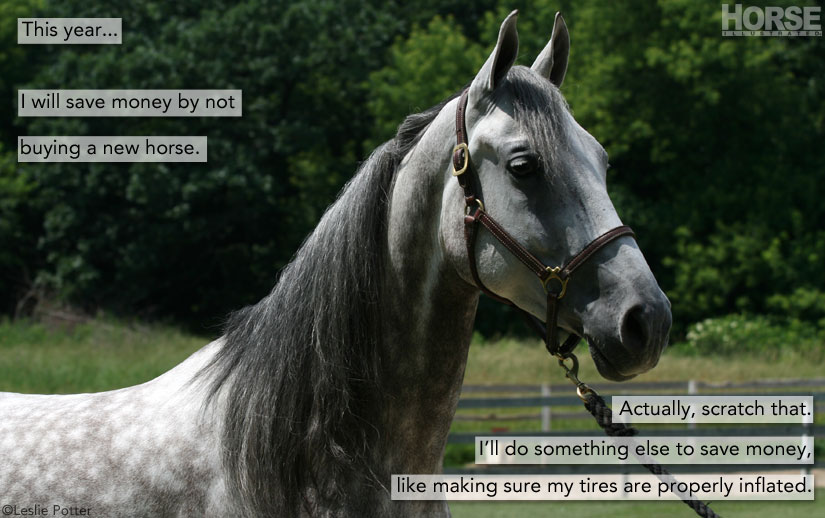 15 Horsey New Year’s Resolutions for 2015