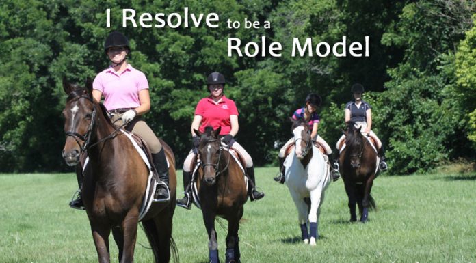 resolution role model