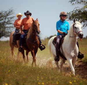 Creative equine pros are bringing newcomers to the horse industry