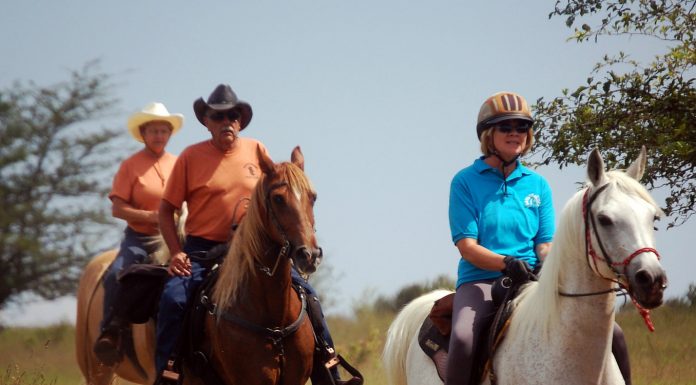 retiree trail ride