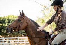 Fit Rider: Ride Mentally Strong ride mentally strong