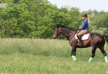 ride on rolling hills