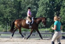 Horseback riding for fitness promoted in new British Equestrian Federation program english riding lesson
