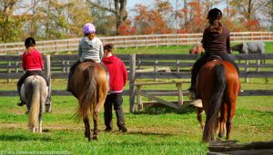 Stable Advice: Moving on to a Different Instructor