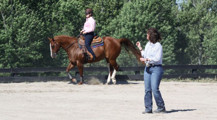 riding lesson western