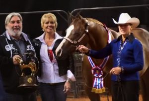 New documentary explores the story of a criminal on the horse show circuit