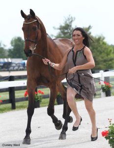 57 Horses to Start in 2012 Rolex Kentucky Three-Day Event