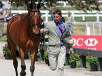 rolex dutton connaught