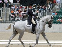 rolex hoy ringwood cockatoo