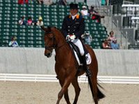 rolex tlips dressage