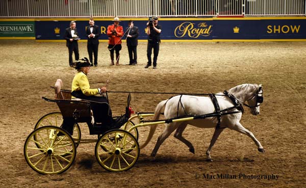 royal winter fair