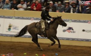 Wild Card Jim Anderson Wins Road to the Horse 2014