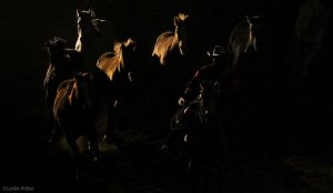 15 Cool Things About Road to the Horse 2015