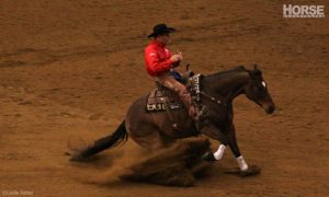 Photoset: Road to the Horse 2014