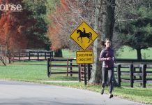 The Parallels Between Running and Riding running equestrian
