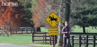 The Parallels Between Running and Riding running equestrian