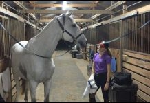 running late at the barn