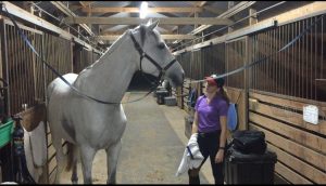 The Things That Happen When You’re in a Rush at the Barn