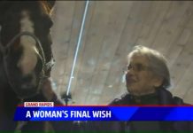 ryerson final wish