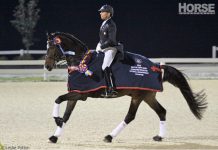 Steffen Peters breaks records with his seventh national grand prix championship peters foc