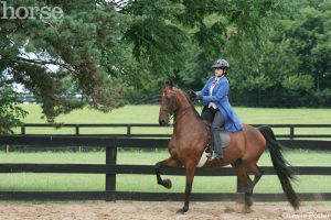Helmets in Saddle Seat and Western Classes