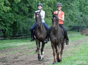 How to Train Your Saddle Seat Horse at Home