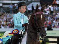 saddlebred sprinkles