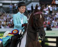 saddlebred sprinkles