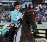 saddlebred sprinkles