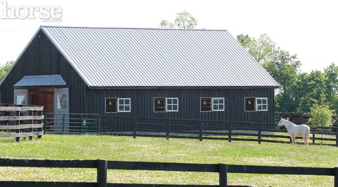 Small horse farm