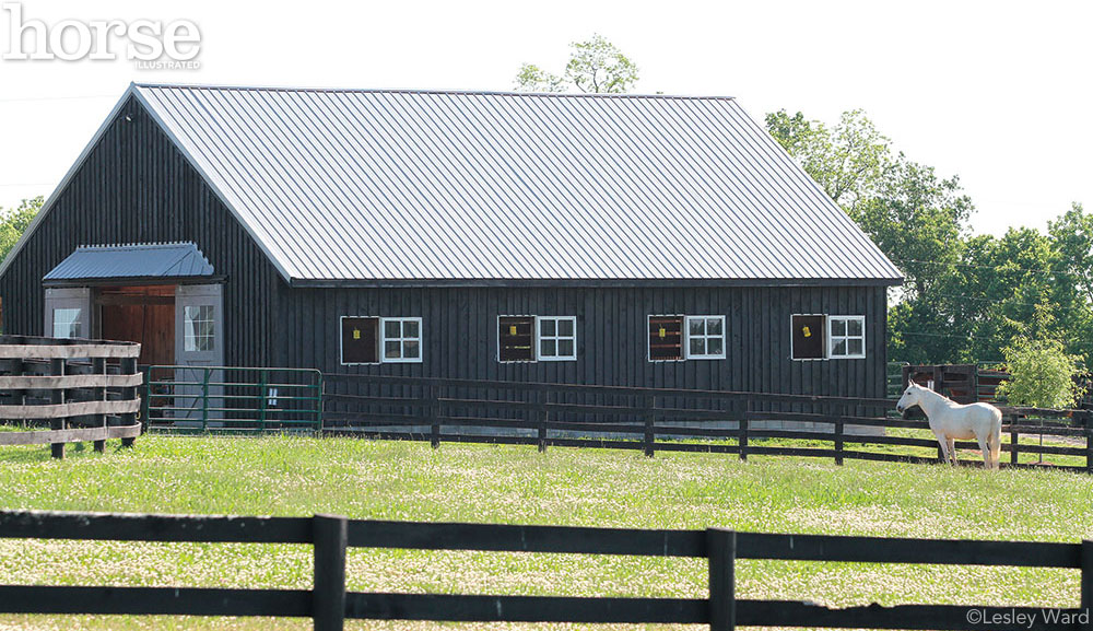 Small horse farm