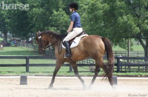 Schooling Show Attire