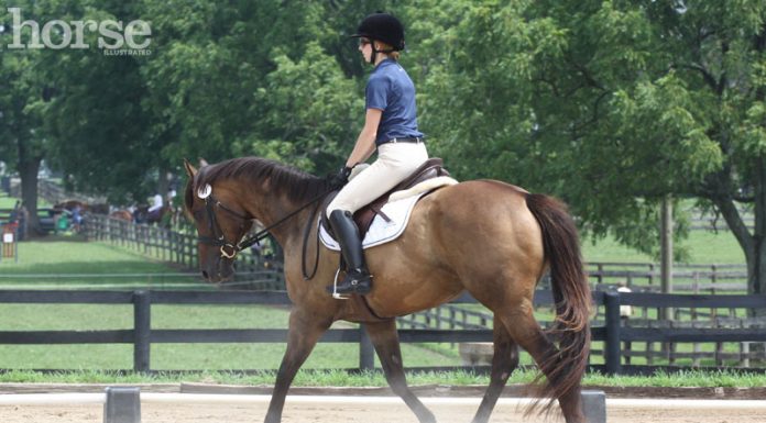 schooling show english