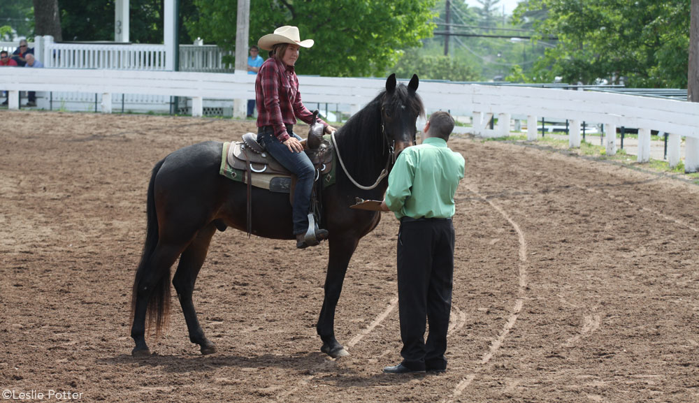 8 Tips for Your Horse’s First Show